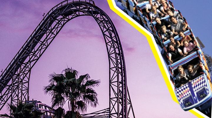 Rollercoaster with palm trees in the background