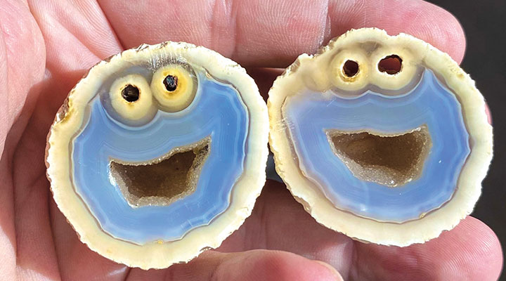Two geodes that look like Cookie Monster