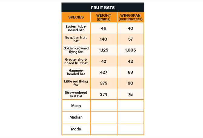 Table displaying measurements of fruit bat species