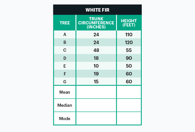 Chart showing White Fir trees, their circumference, height and then blank mean, median, and mode