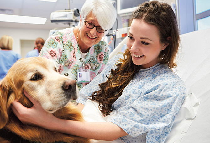 Enlargeable image of two people in a hospital smiling while petting a dog