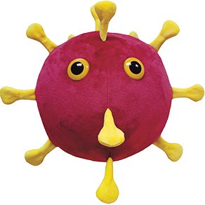 Image of a Covid-19 virus squishy
