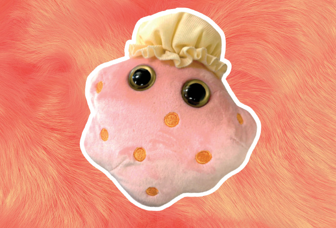 Enlargeable image of a macrophage pink squishy with two large eyes