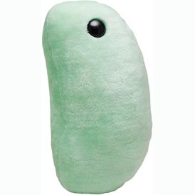 Image of a light green flu virus squishy with one eye
