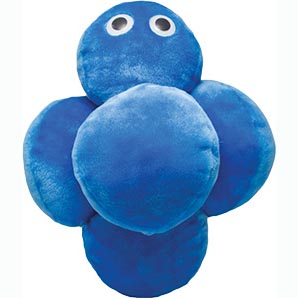 Image of a blue bacteria squishy with eyes