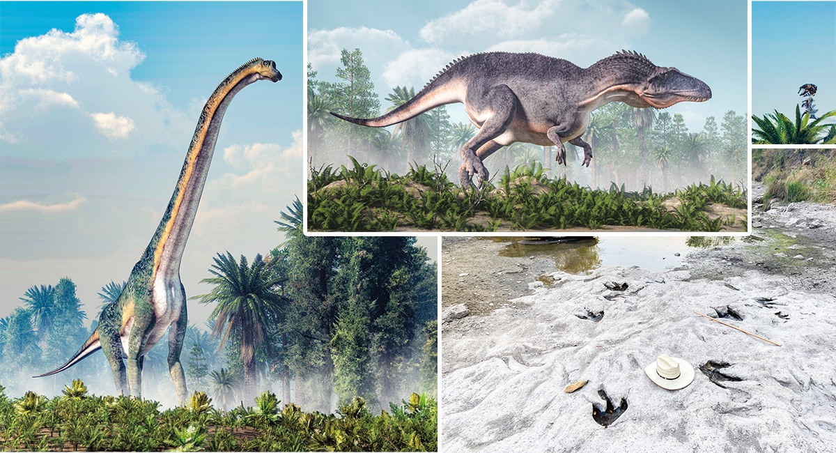 Illustrations of two different dinosaurs and image of fossilized footsteps