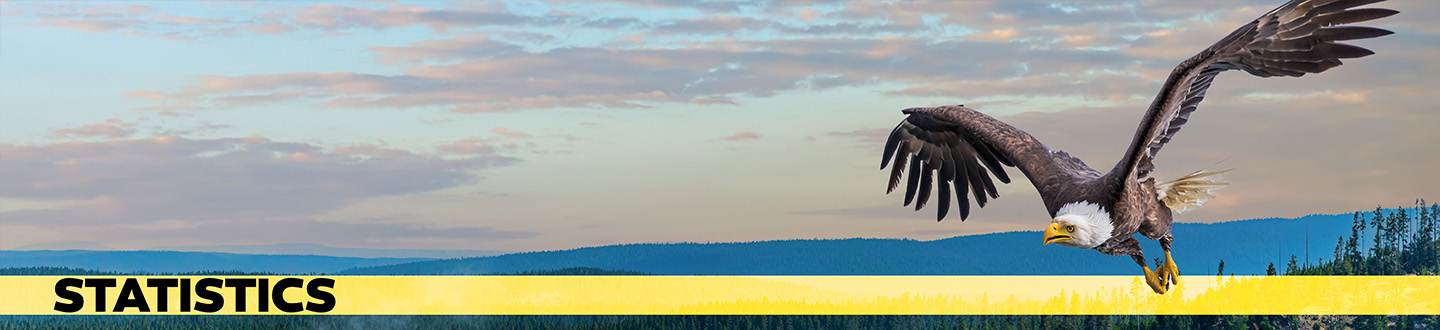Image of an eagle flying with text, "Statistics"