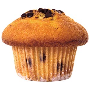 Image of a chocolate chip muffin