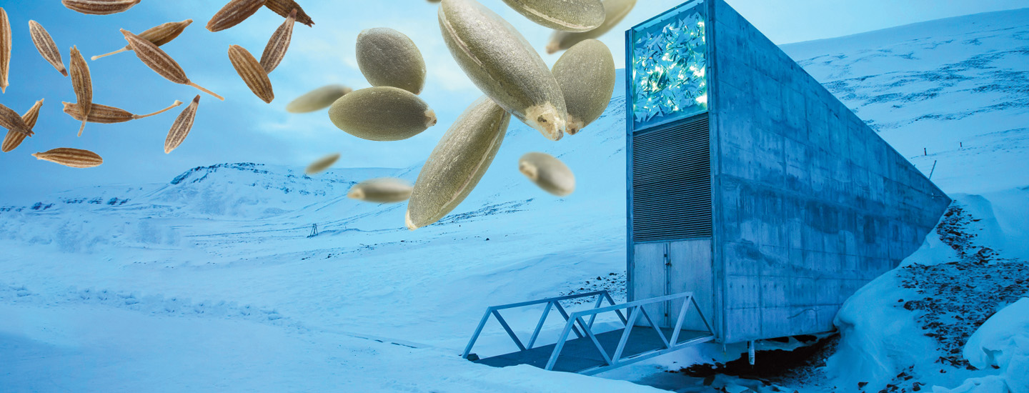 Illustration of seeds flying around a cold environment